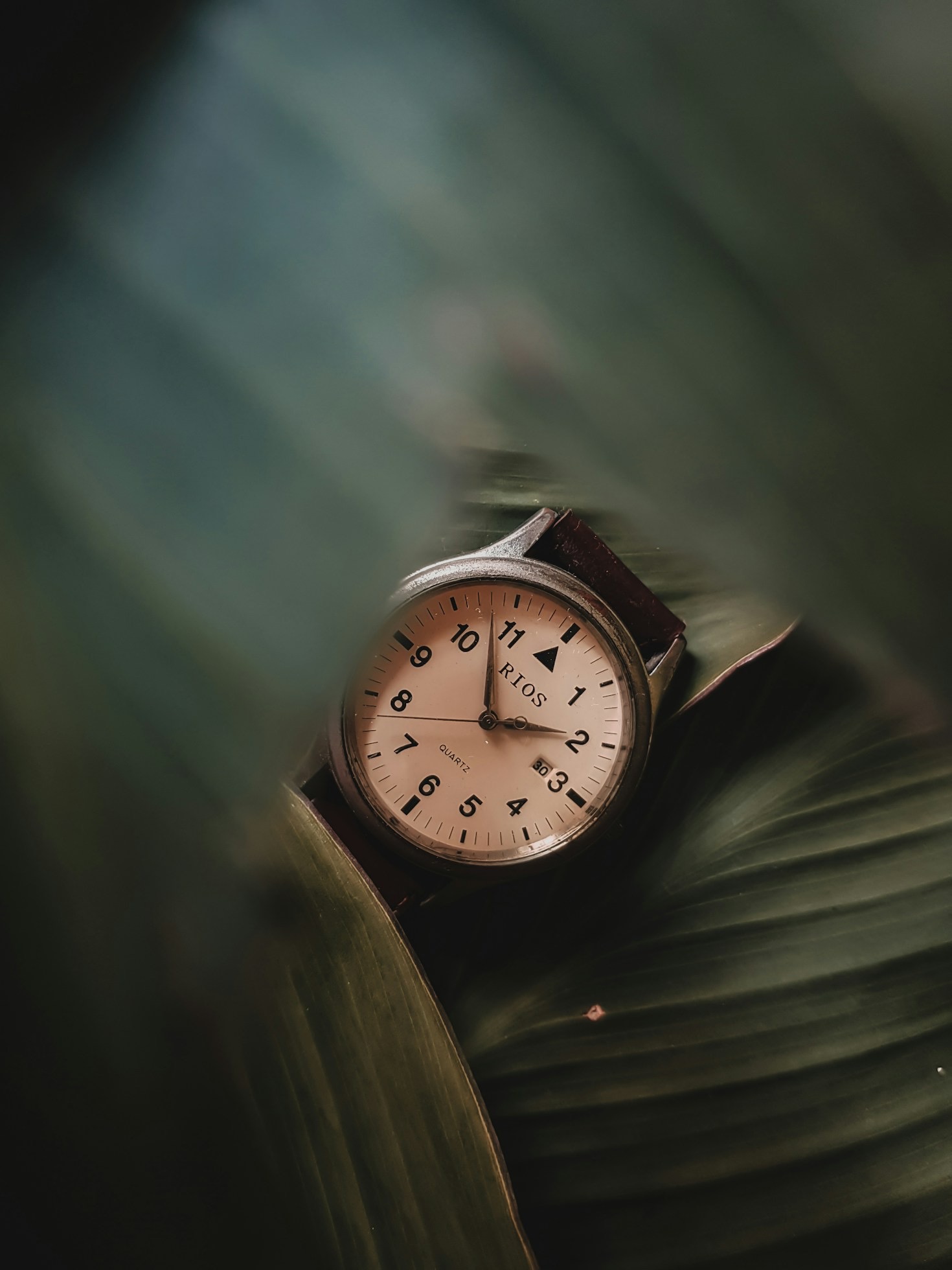 Understanding the Classic Design Elements in Luxury Watches